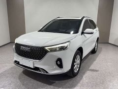 Haval M6 PLUS 1.5T Manual Luxury Smart Connected Edition - ფოტო 1