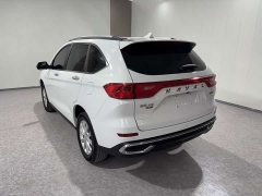 Haval M6 PLUS 1.5T Manual Luxury Smart Connected Edition - ფოტო 5