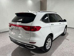 Haval M6 PLUS 1.5T Manual Luxury Smart Connected Edition - ფოტო 6