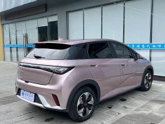 BYD Dolphin Glory Edition 420km Fashion Version - ფოტო 13