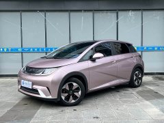 BYD Dolphin Glory Edition 420km Fashion Version - ფოტო 2