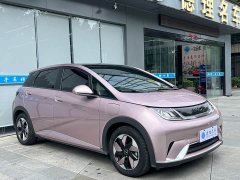 BYD Dolphin Glory Edition 420km Fashion Version - ფოტო 5