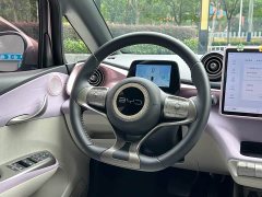 BYD Dolphin Glory Edition 420km Fashion Version - ფოტო 7