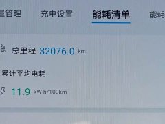BYD Dolphin Glory Edition 420km Fashion Version - ფოტო 8