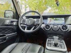 Tank 300 Off-Road Edition 2.0T Conqueror - ფოტო 11