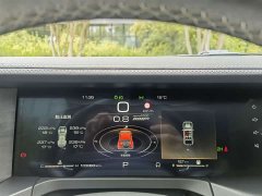 Tank 300 Off-Road Edition 2.0T Conqueror - ფოტო 16