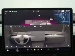 Tesla Model Y Rear-Wheel Drive - ფოტო 12