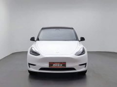Tesla Model Y Rear-Wheel Drive - ფოტო 3