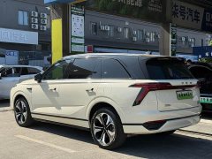 Great Wall WEY Blue Mountain Four-Wheel Drive Extended Range Version - ფოტო 13