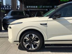 Great Wall WEY Blue Mountain Four-Wheel Drive Extended Range Version - ფოტო 15