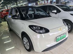 Wuling Binguo 203km Light Enjoy Edition - ფოტო 3