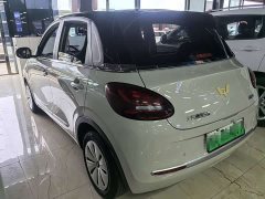 Wuling Binguo 203km Light Enjoy Edition - ფოტო 4