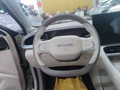 Geely Star Wish 480km Explorer Edition - ფოტო 9