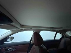 BMW 3 Series 320Li M Sport Package - ფოტო 17