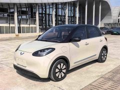 Wuling Binguo 2024 333km Joy Edition - ფოტო 1