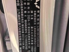 Wuling Binguo 2024 333km Joy Edition - ფოტო 11
