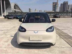 Wuling Binguo 2024 333km Joy Edition - ფოტო 2