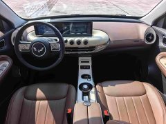 Wuling Binguo 2024 333km Joy Edition - ფოტო 9