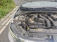 Volkswagen Sagitar 300TSI DSG Excellence Edition - ფოტო 20
