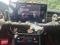 Volkswagen Sagitar 300TSI DSG Excellence Edition - ფოტო 9