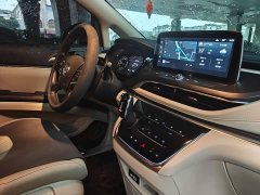 Buick GL8 Land Executive Cabin Premium - ფოტო 9