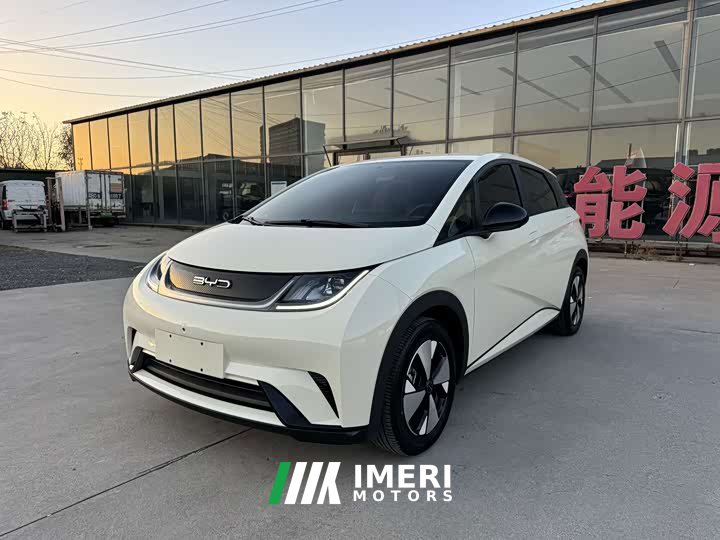 BYD Dolphin 420km Freedom Edition