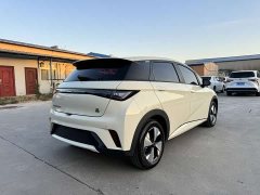 BYD Dolphin 2023 420km Freedom Edition - ფოტო 11