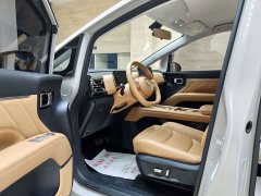 Wuling Starlight 730 New Energy PHEV 125km Luxury - ფოტო 6