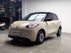 Wuling Binguo 2024 333km Joy Edition - ფოტო 1