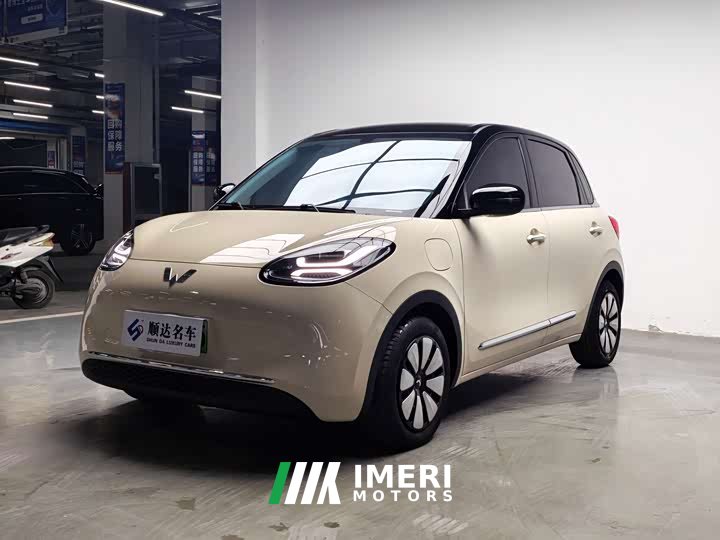 Wuling Binguo 333km Joy Edition