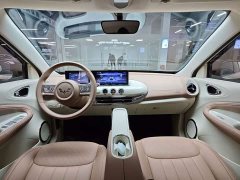 Wuling Binguo 2024 333km Joy Edition - ფოტო 4