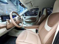 Wuling Binguo 2024 333km Joy Edition - ფოტო 5