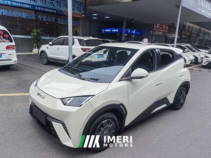 BYD Seagull Glory Edition 305km Vitality Version - ავტომობილი ჩინეთიდან