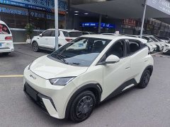 BYD Seagull Glory Edition 305km Vitality Version - ფოტო 1
