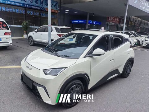 2024 BYD Seagull Glory Edition 305km Vitality Version - ავტომობილი ჩინეთიდან