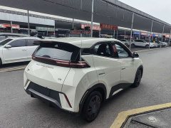 BYD Seagull Glory Edition 305km Vitality Version - ფოტო 12
