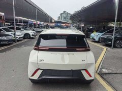BYD Seagull Glory Edition 305km Vitality Version - ფოტო 14