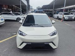 BYD Seagull Glory Edition 305km Vitality Version - ფოტო 2