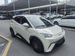 BYD Seagull Glory Edition 305km Vitality Version - ფოტო 3