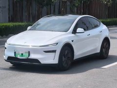 Tesla Model Y Long Range All-Wheel Drive - ფოტო 1