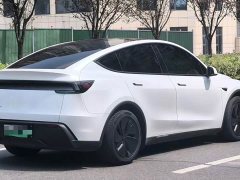 Tesla Model Y Long Range All-Wheel Drive - ფოტო 13