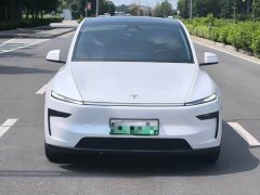 Tesla Model Y Long Range All-Wheel Drive - ფოტო 2