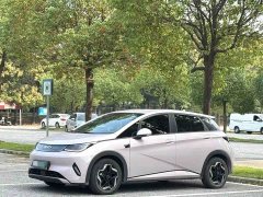 BYD Dolphin Smart Drive 420km Freedom Edition - ფოტო 1