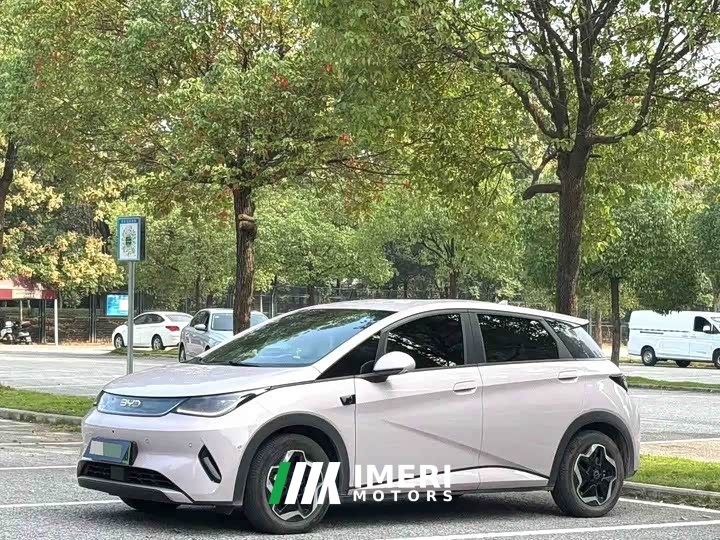BYD Dolphin Smart Drive 420km Freedom Edition