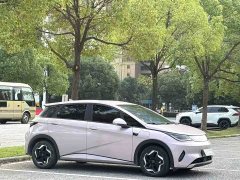 BYD Dolphin Smart Drive 420km Freedom Edition - ფოტო 3