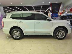 Tank 500 New Energy Hi4-Z - ფოტო 16
