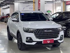 Haval H6 National Trend Edition 1.5T Automatic Urban Version - ფოტო 2