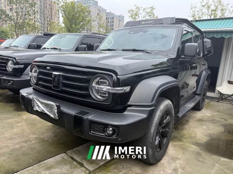 2024 Tank 300 2.0T Conqueror - ავტომობილი ჩინეთიდან