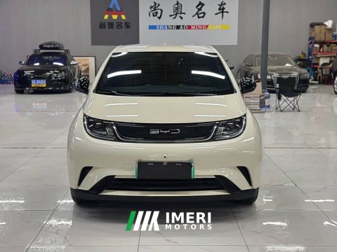 2023 BYD Dolphin 420km Freedom Edition - ავტომობილი ჩინეთიდან