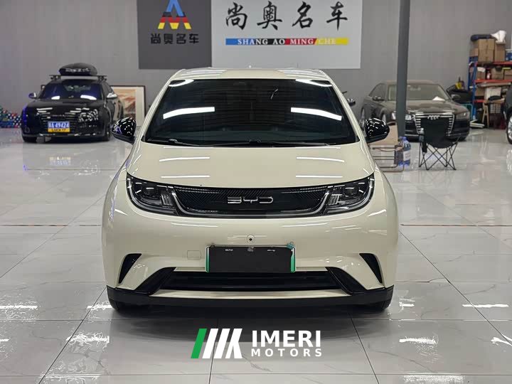 BYD Dolphin 420km Freedom Edition